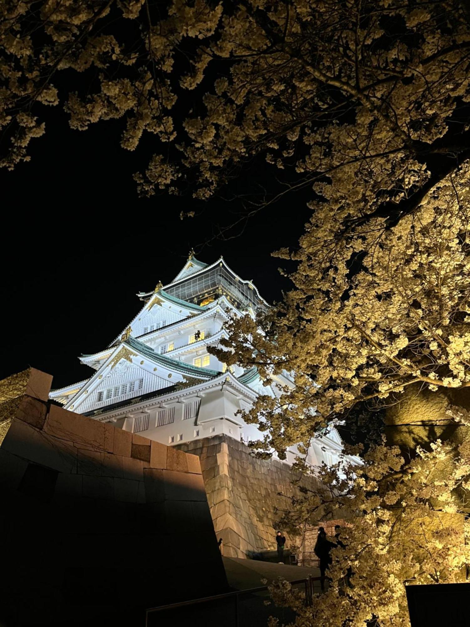 Guesthouse Atelier Ten 民泊アトリエ天 Ósaka Exteriér fotografie